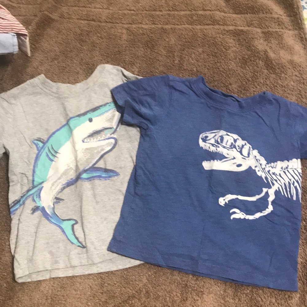 Carters Toddler Graphic Tees (set of 2 tees)